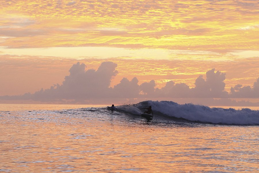 Surf y producción de adrenalina: ¡un estilo de vida que proporciona una mejor salud!