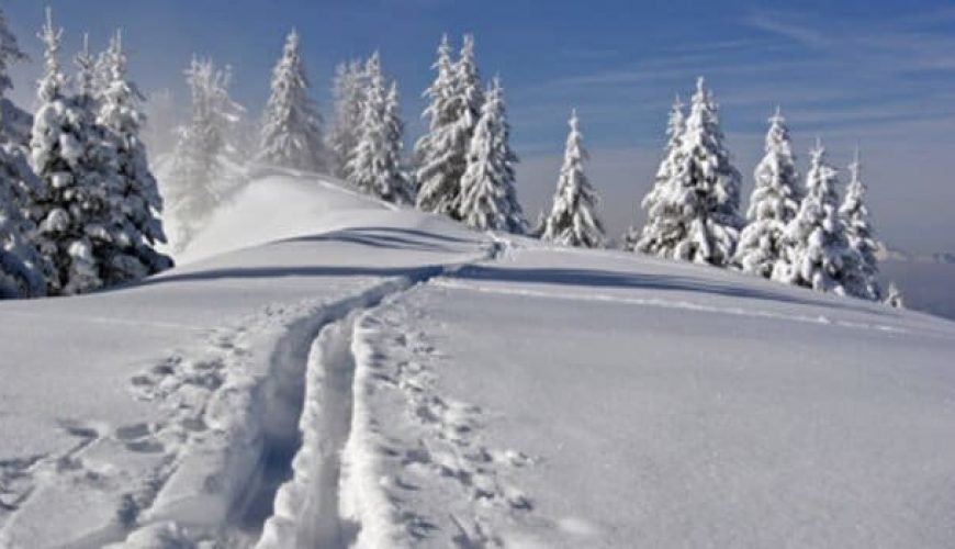 10 things you may not know about snow!