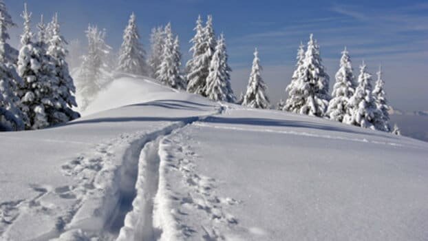 10 cose che forse non sapete sulla neve!